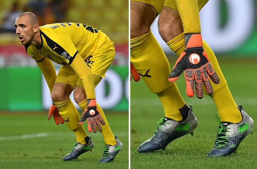 诺德将进入 诺德将进入